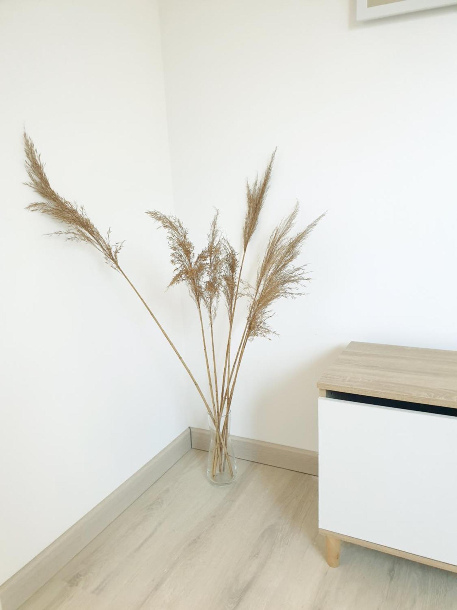 Plume - Comme A La Maison Appartement